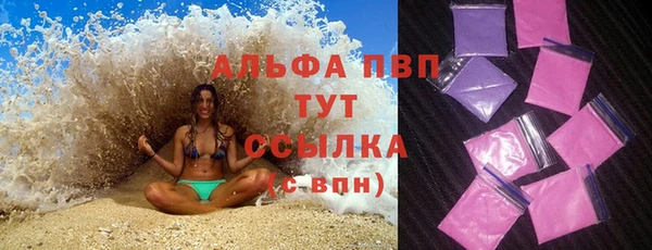 индика Михайловка