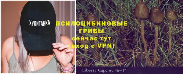 индика Михайловка