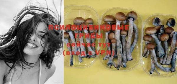 PSILOCYBIN Почеп