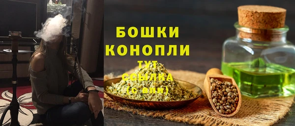 индика Михайловка