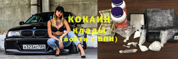 индика Михайловка