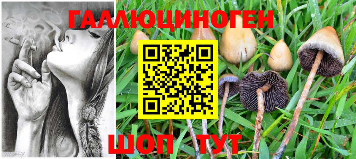 Псилоцибиновые грибы Cubensis Балабаново