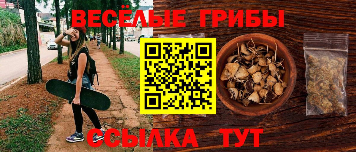 Галлюциногенные грибы Cubensis  Балабаново  Галлюциногенные грибы прущие грибы 