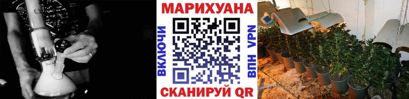Конопля марихуана Балабаново